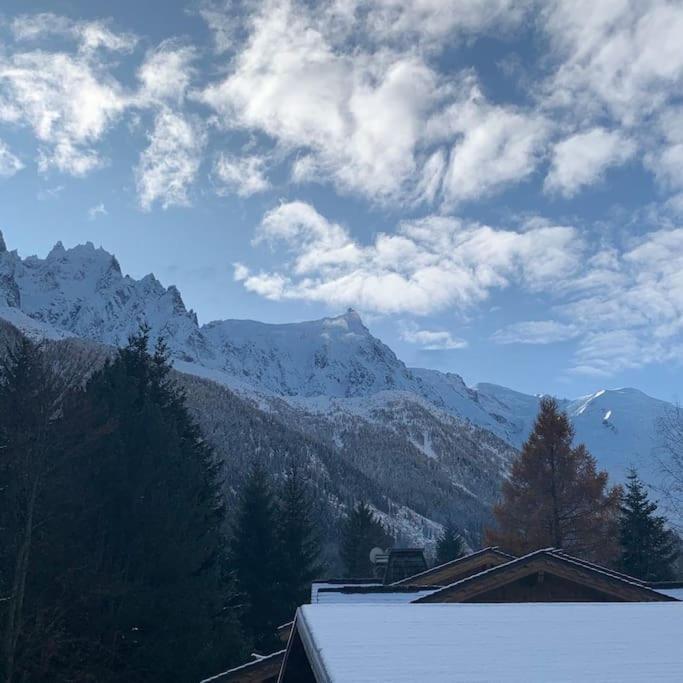 Апартаменти Belle Vue Des Praz Шамоні Екстер'єр фото