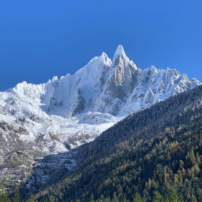 Апартаменти Belle Vue Des Praz Шамоні Екстер'єр фото